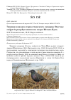 Научная статья на тему 'Зимняя находка Туркестанского скворца Sturnus vulgaris porphyronotus на озере Иссык-Куль'