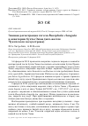Научная статья на тему 'Зимняя регистрация гоголя Bucephala clangula в акватории бухты Эмма (юго-восток Чукотского полуострова)'