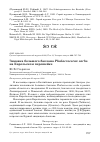 Научная статья на тему 'Зимовка большого баклана Phalacrocorax carbo на Карельском перешейке'