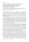 Научная статья на тему 'Зимовка чёрного дрозда Turdus merula в Черемшанке (западный Алтай)'