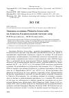 Научная статья на тему 'Зимовка колпицы Platalea leucorodia на Алаколь-Сасыккольской системе озёр'