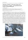 Научная статья на тему 'Зимовка лебедей - шипунов cygnus olor и кликунов C . Cygnus - на Городищенском озере в Старом Изборске'