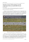 Научная статья на тему 'Зимовка пуночек Plectrophenax nivalis в пригороде Калуги зимой 2015/16 года'