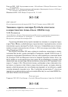 Научная статья на тему 'ЗИМОВКА СЕРОГО СНЕГИРЯ PYRRHULA CINERACEA В ОКРЕСТНОСТЯХ АЛМА-АТЫ В 1953/54 ГОДУ'