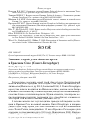 Научная статья на тему 'ЗИМОВКА СЕРОЙ УТКИ ANAS STREPERA В КРАСНОМ СЕЛЕ (САНКТ-ПЕТЕРБУРГ)'