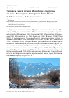 Научная статья на тему 'Зимовка синей птицы Myophonus caeruleus на реке Аламедин в Северном Тянь-Шане'