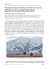 Научная статья на тему 'Зимовка вяхиря Columba palumbus и клинтуха Columba oenas в северных предгорьях Нарымского хребта на Южном Алтае'
