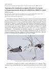 Научная статья на тему 'Зимовки белощёкой казарки Branta leucopsis в Ленинградской области в 2015/16 и 2016/17 годах'