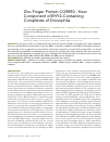 Научная статья на тему 'Zinc finger protein CG9890 - new component of ENY2-containing complexes of Drosophila'