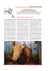 Научная статья на тему 'Зубр - Bison bonasus (Linnaeus, 1758)'