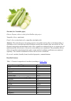 Научная статья на тему 'Zucchini (lat. Cucúrbita pépo)'