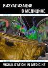 Научный журнал по клинической медицине, 'Визуализация в медицине '