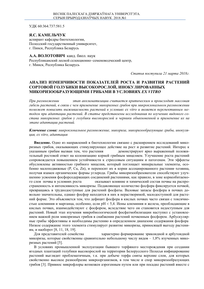 Analiz Izmenchivosti Pokazatelej Rosta I Razvitiya Rastenij Sortovoj Golubiki Vysokorosloj Inokulirovannyh Mikorizoobrazuyushimi Gribami V Usloviyah Ex Vitro Tema Nauchnoj Stati Po Selskomu Hozyajstvu Lesnomu Hozyajstvu Rybnomu Hozyajstvu Chitajte