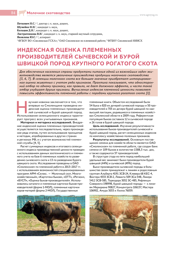 Здоровье